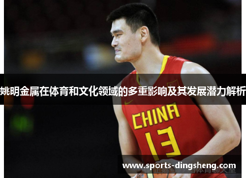姚明金属在体育和文化领域的多重影响及其发展潜力解析