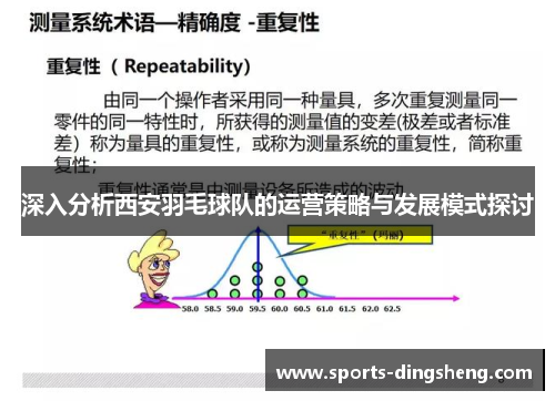 深入分析西安羽毛球队的运营策略与发展模式探讨