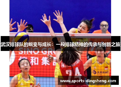 武汉排球队的蜕变与成长：一段排球精神的传承与创新之旅