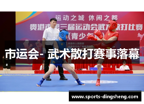 市运会- 武术散打赛事落幕